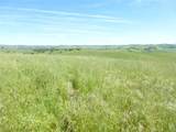 0 Douglas Rd. (Lot 34) - Photo 21