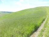 0 Douglas Rd. (Lot 34) - Photo 23