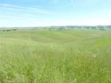 0 Douglas Rd. (Lot 34) - Photo 24