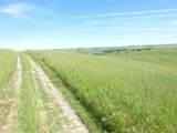 0 Douglas Rd. (Lot 34) - Photo 25