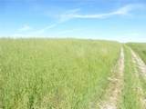 0 Douglas Rd. (Lot 34) - Photo 26