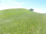 0 Douglas Rd. (Lot 34) - Photo 27
