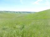 0 Douglas Rd. (Lot 34) - Photo 28