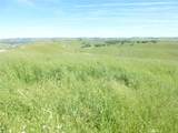 0 Douglas Rd. (Lot 34) - Photo 30