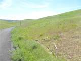 0 Douglas Rd. (Lot 34) - Photo 4