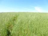 0 Douglas Rd. (Lot 34) - Photo 32