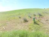 0 Douglas Rd. (Lot 34) - Photo 36
