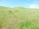 0 Douglas Rd. (Lot 34) - Photo 38