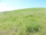 0 Douglas Rd. (Lot 34) - Photo 39