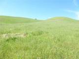 0 Douglas Rd. (Lot 34) - Photo 41
