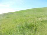 0 Douglas Rd. (Lot 34) - Photo 42
