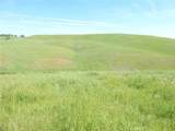 0 Douglas Rd. (Lot 34) - Photo 44