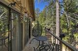 27456 White Fir Drive - Photo 37