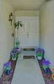 30308 Jasmine Valley - Photo 6