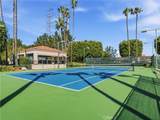 28901 Paseo Sabatini - Photo 25