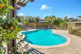 26655 Del Rosa - Photo 45
