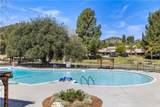 26824 Circle Of The Oaks - Photo 36