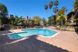 166 Via Contento - Photo 38