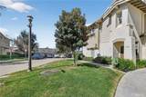 41555 King Palm - Photo 8