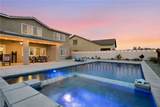 34846 Kingsnake - Photo 1