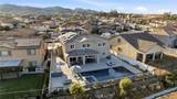34846 Kingsnake - Photo 11