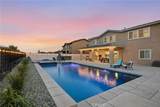 34846 Kingsnake - Photo 14