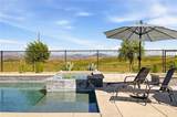 34846 Kingsnake - Photo 23