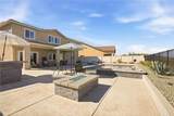 34846 Kingsnake - Photo 24