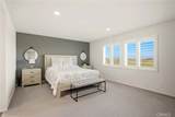34846 Kingsnake - Photo 31