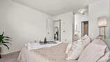 10684 Dabney Drive - Photo 24