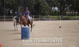 2393 Via Mariposa - Photo 32
