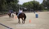 2393 Via Mariposa - Photo 36