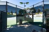 28052 Via Congora - Photo 53