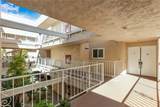 2386 Via Mariposa - Photo 18