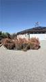 60242 Palm Oasis - Photo 10