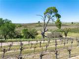7310 Estrella - Photo 48