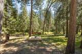 36333 Finegold Creek - Photo 67