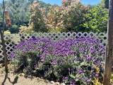 7282 Marin Street - Photo 13