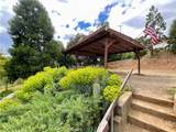 7282 Marin Street - Photo 20