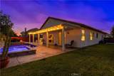 31955 Avenida Mallari - Photo 8