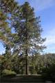5636 Whitlock - Photo 35
