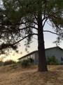 5636 Whitlock - Photo 5