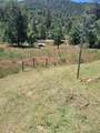 5636 Whitlock - Photo 9
