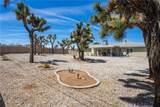 7053 Balsa - Photo 55
