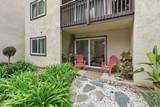 3513 Caminito Sierra - Photo 25