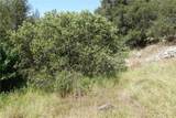 0 Running Deer Way - Photo 8
