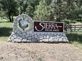 34914 Sneezeweed Lane - Photo 3