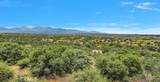 0 Cactus - Photo 1