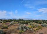 0 Cactus - Photo 4