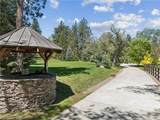32310 Hummingbird Court - Photo 6